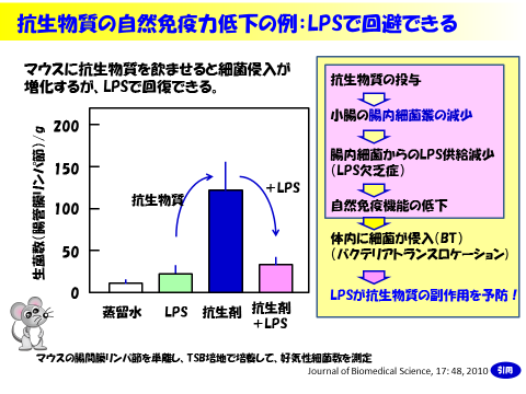 小腸からの細菌の進入を防ぐ