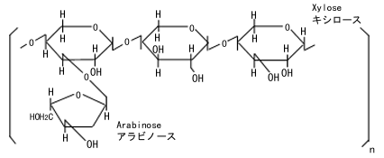 Arabinoxylane構造モデル