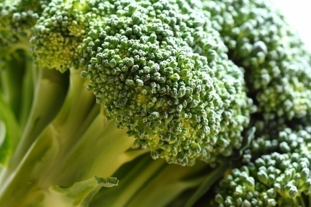 アブラナ科の野菜は肺がんや乳がんのリスクを下げる