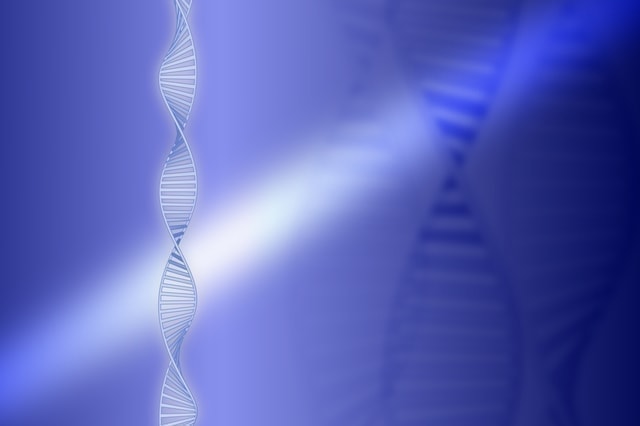 免疫力で癌を叩く?