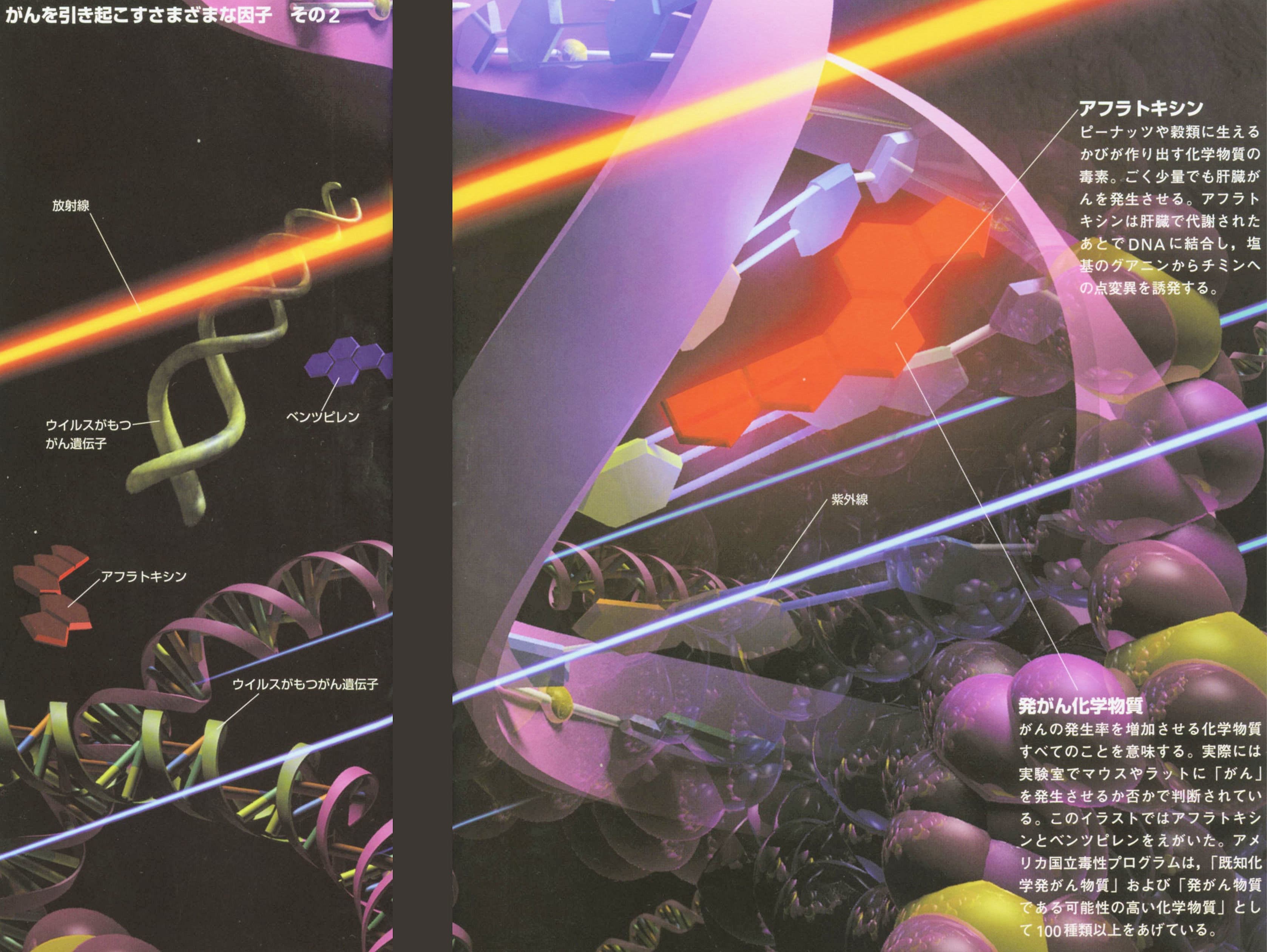 癌を引き起こす様々な因子2（難病末期癌からの生還）